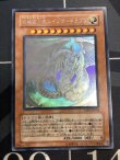 画像1: 究極宝玉神 レインボードラゴン ホログラフィックレア 状態NM- 【実物写真】