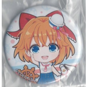 画像: カモメ　バッジ