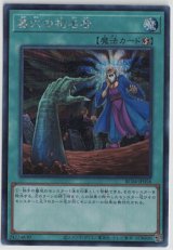画像: 墓穴の指名者【シークレットレア】
