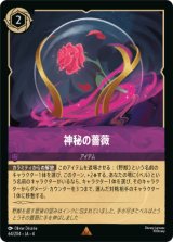 画像: 神秘の薔薇【レア】