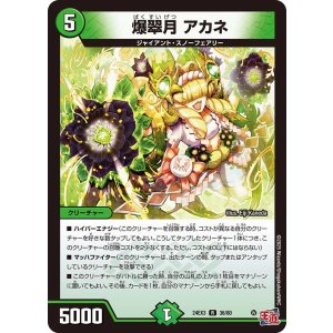 画像: 爆翠月 アカネ【R】