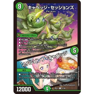 画像: キャベッジ・セッションズ/ソイルピンプ・キャベッジ【R】