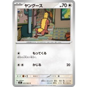 画像: 【M1L】ヤング―ス【C】