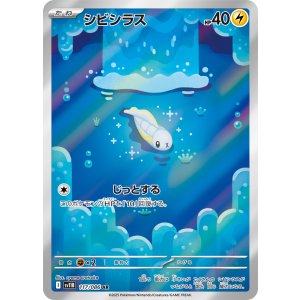 画像: 【sv11B】シビシラス【AR】