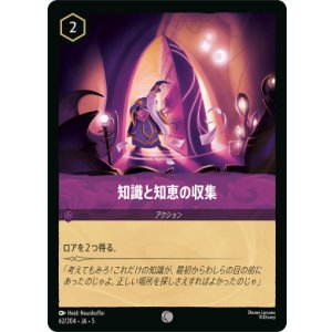 画像: 知識と知恵の収集【コモン】