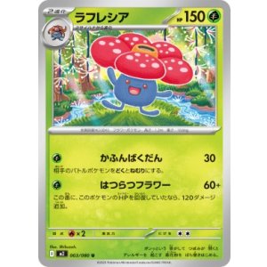 画像: 【M2】ラフレシア【U】