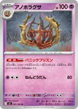 画像: 【M2】アノホラグサ【U】