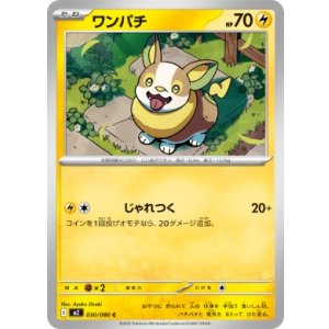 画像: 【M2】ワンパチ【C】