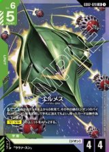 画像: エルメス【LR】