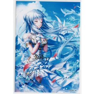 画像: アイリス　ブロマイド