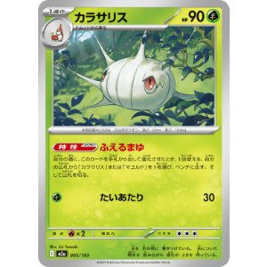 画像: 【M2a】カラサリス【-】