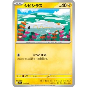 画像: 【MC】シビシラス【-】