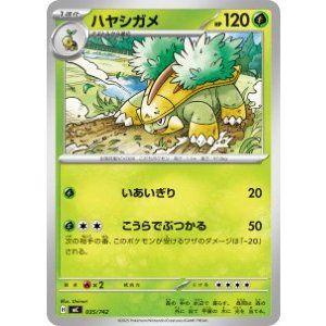 画像: 【MC】ハヤシガメ【-】