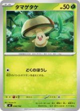 画像: 【MC】タマゲタケ【-】