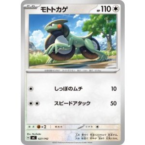 画像: 【MC】モトトカゲ【-】