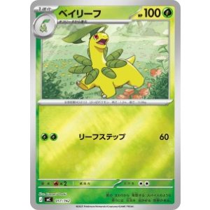 画像: 【MC】ベイリーフ【ミラー仕様】