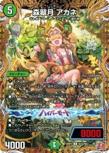 画像: 森翠月 アカネ【R】