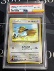 画像1: 【PSA8】ドードー　初版　レアリティシンボルなし　第1弾 　旧裏【実物写真】