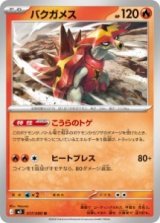 画像: 【M3】バクガメス【U】