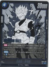 画像: 孫悟飯：青年期【UC】