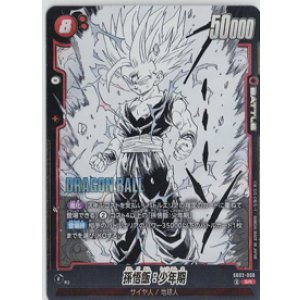 画像: 孫悟飯：少年期【SR】