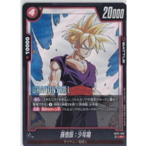 画像: 孫悟飯：少年期【R】