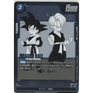 画像: 孫悟天/トランクス：幼年期【UC】