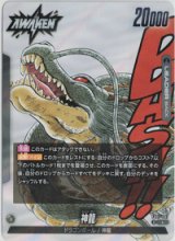 画像: 神龍【L】