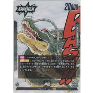 画像: 神龍【L】