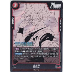 画像: 孫悟空【R】