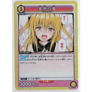 画像: 金色の闇【R】