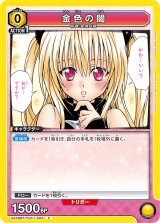 画像: 金色の闇【C】