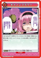 画像: キャノンフラワー【U】