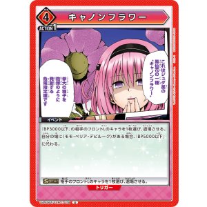 画像: キャノンフラワー【U】