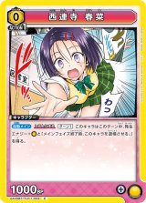 画像: 西連寺 春菜【C】