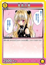 画像: 金色の闇【C】