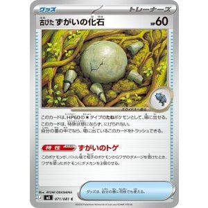 画像: 【M5】古びたずがいの化石【C】