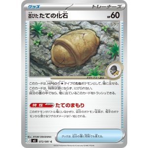 画像: 【M5】古びたたての化石【C】
