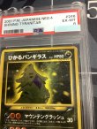 画像3: 【PSA6】 ひかるバンギラス 【実物写真】