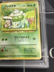 画像4: 【PSA9】フシギダネ 初版 レアリティシンボルなし 第1弾  旧裏【実物写真】