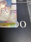 画像6: 君だけに見せる顔 桜島 麻衣【SEC】【青春ブタ野郎シリーズ】
