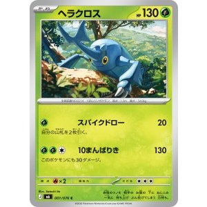 画像: 【M6】ヘラクロス【C】