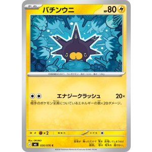 画像: 【M6】バチンウニ【C】