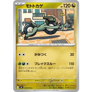画像: 【M6】モトトカゲ【C】