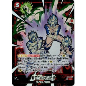 画像: 親子三大かめはめ波【Rパラレル】