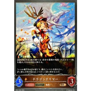 画像: BR ドラゴンテイマー(EVOLVE)