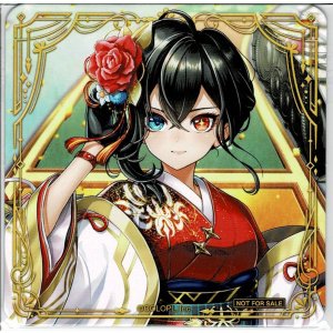 画像: アイシャ　コースター