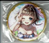 画像: エクセリア　バッジ