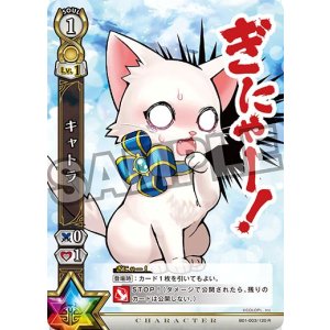 画像: キャトラ 状態Bランク