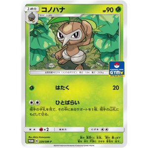 画像: 【プロモ】コノハナ